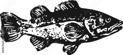 Black and white illustration of a fish with detailed scales and fins in vintage