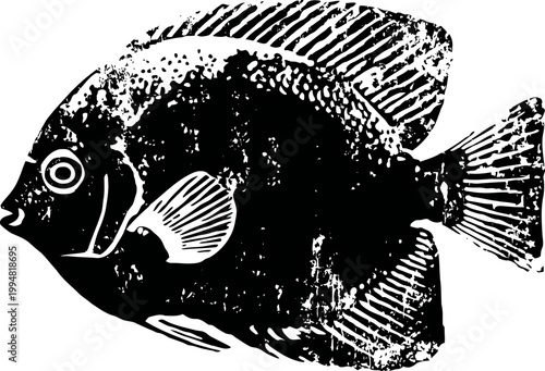 black and white detailed illustration of an angelfish facing left with distinct fins and eye