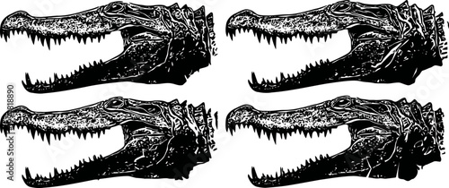 Four detailed vintage crocodile skull illustrations, black and white animal fossils set