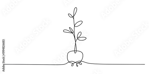 A minimalist single line drawing of a small sprouting plant with roots growing from a round bulb