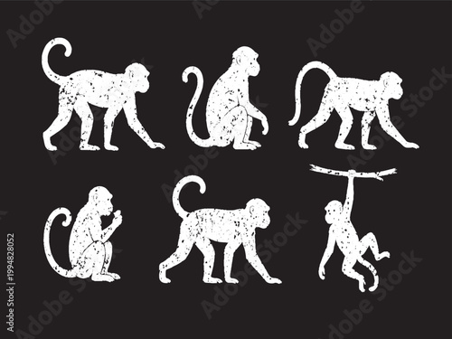 Grunge monkey silhouettes set distressed primate poses isolated on black background