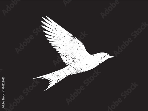 Grunge flying bird silhouette distressed white swallow isolated on black background