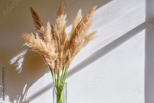 Pampas Grass Stalks Arranged in a Clear Vase With Natural Light and Shadows