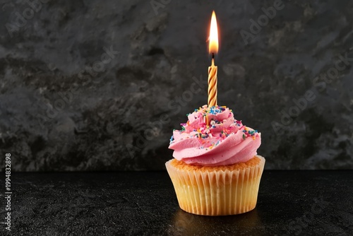Cupcake With Pink Frosting and Colorful Sprinkles for a Birthday Celebration ...