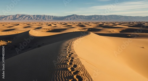 Desert sand dunes with human footprints, vast arid landscape under blue sky, golden ripples on sahara dunes, remote wilderness background