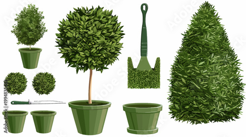 Illustrated assortment of green topiary shrubs, tool, and pots on a white background