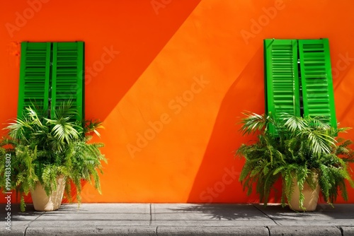 Colorful Shutters and Plants in Bright Urban Setting During Daylight