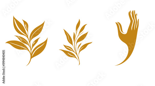Three isolated golden elements two leafy sprigs and a stylized hand gesture on a white background