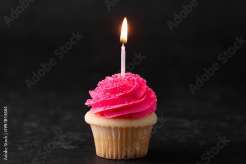 Cupcake With Pink Frosting and a Lit Candle on a Dark Background During a Cel...