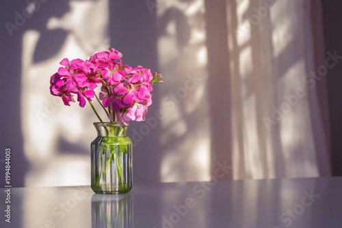 Fresh Flowers in a Glass Vase on a Table With Sunlight and Shadows in a Room