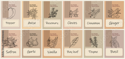 Hand-drawn spice labels on warm-toned background. Each herb is illustrated with delicate botanical lines. Muted earth tones evoke rustic, organic kitchen charm. Perfect for cookbooks, food blogs 