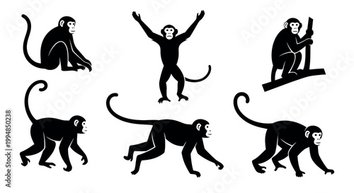 Monkey illustration on white background
