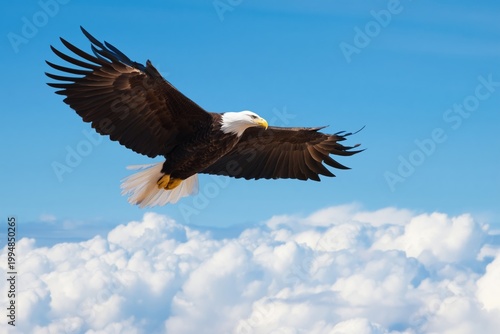 Bald Eagle Soars High Above White Clouds Against a Blue Sky
