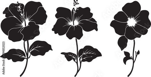 Seamless black and white floral pattern with vintage flowers leaves and botanical elements