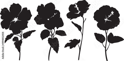 Seamless black and white floral vector pattern with roses, orchids, leaves and vintage botanical illustration design for decoration and wallpaper