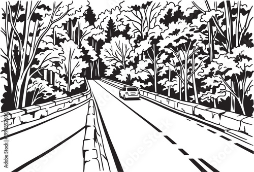 Car driving on a road through a forest