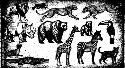 Black and white line drawing of animals in a forest setting with deer and wolves
