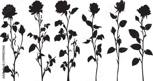 Seamless vector illustration of a vintage floral pattern featuring a nature inspired silhouette of flowers and plant leaves for a decorative spring wallpaper design