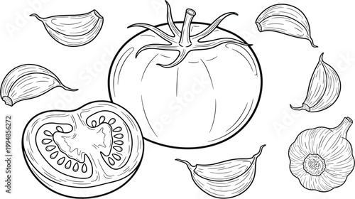 Detailed line-art collection featuring various styles of winter coats and parkas