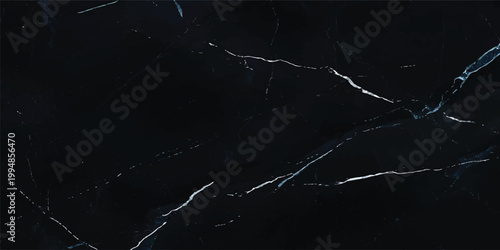 Elegant black marble surface with white veining texture background polished abstract material architecture interior wallpaper contrast