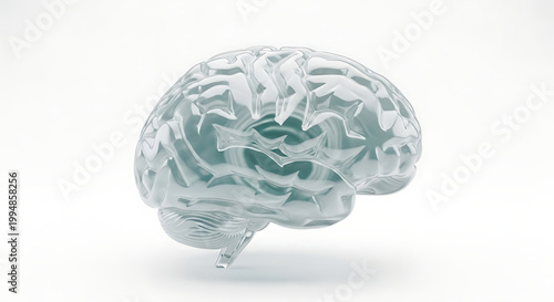 A transparent glass brain sculpture on a white background, symbolizing intelligence and knowledge