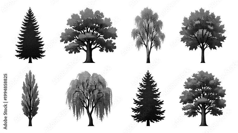 Fototapeta premium Set of Trees Elevation View for Architectural Drawings