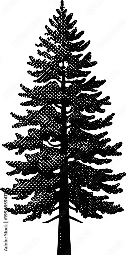Fototapeta premium Trees Elevation View for Architectural Drawings