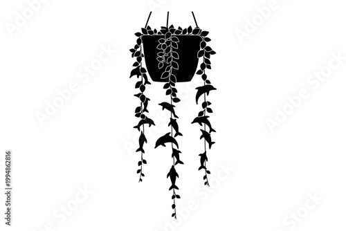 Silhouette of a jellyfish with tentacles and a bell shaped body