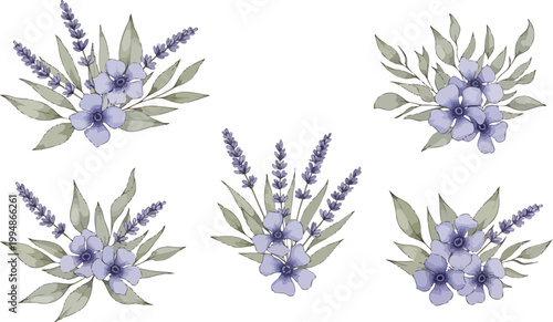 Set of five watercolor lavender and purple flower bouquets with green leaves isolated on white background vector illustration