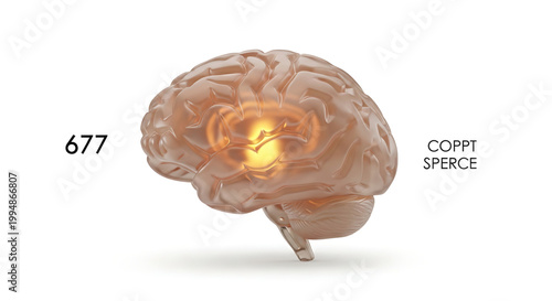 A glowing brain with a bright yellow light in the center, surrounded by a transparent and detailed cerebral cortex