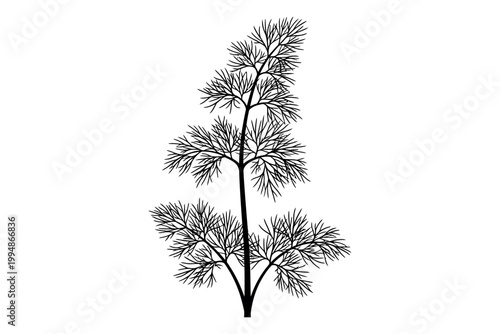 Silhouette of a tree with branches and leaves