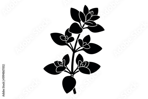 Silhouette of a flowering plant with leaves and buds