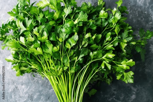 Fresh Arugula Bunch on a White Background Ready for Use in Cooking or Salads