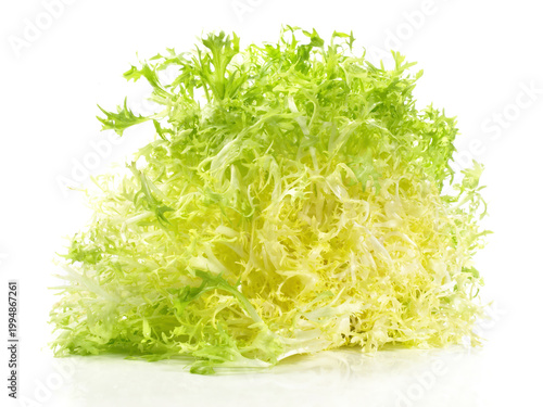 Принти на полотні Fresh Frisee - Curly Escarole Salad isolated on white Background