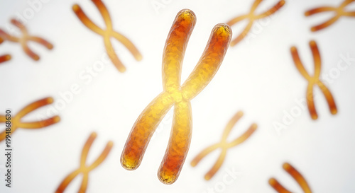 A detailed illustration of chromosomes in a scientific graphic design