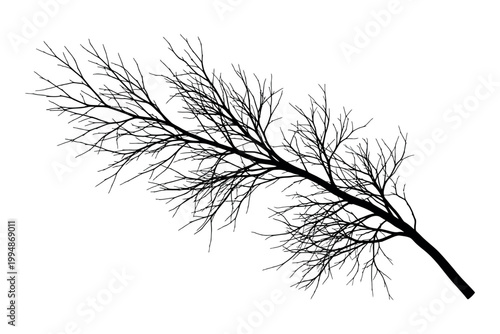 Silhouette of a bare tree branch against a white background
