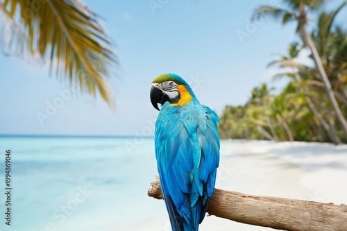 Colorful Parrot Perched on Branch Near Beach With Clear Water and Palm Trees ...