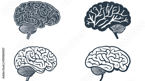 Four stylized illustrations of human brains, rendered in monochrome. They all are side views