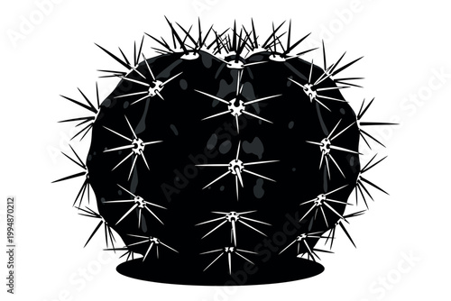 Silhouette of a prickly cactus plant against a white background