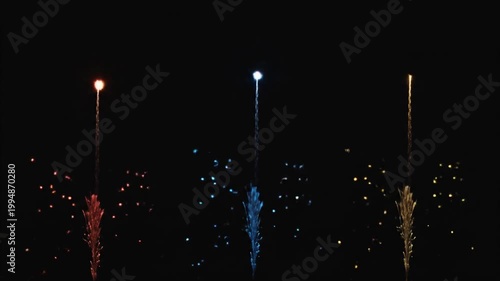 Colorful illuminated flower like objects display against a dark background