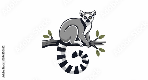 Ring-tailed lemur perched on a tree branch, isolated on white
