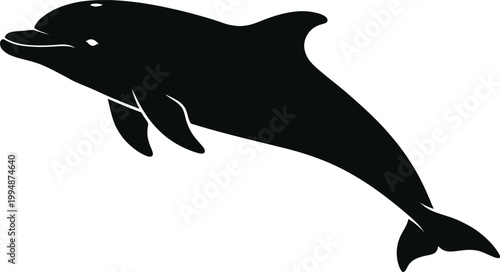 Minimalist vector illustration featuring a stylized black silhouette of a graceful dolphin leaping through the air as a creative design