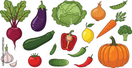 
Hand Drawn Colorful Fresh Vegetable Collection with Beetroot Eggplant Cabbage Onion Carrot Zucchini Pepper Tomato Cucumber Chili Pumpkin Broccoli Garlic Vector Set