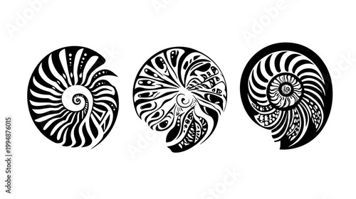 Three stylized, spiral, black and white illustrations of a nautilus on a white background