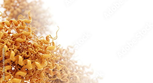 A close-up view of curly pasta on a white background