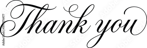 Elegant decorative flourish featuring the phrase "thank you" in a classic script vector illustration