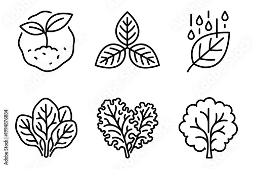 Botanical and organic leafy vegetables line icon set featuring spinach kale plant growth vegetables botanical gardening