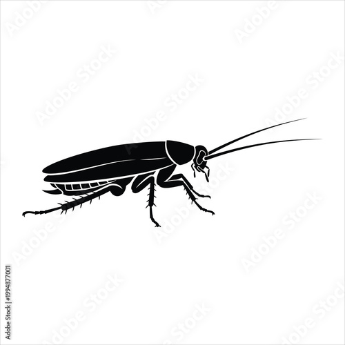Cockroach silhouette vector illustration side view isolated on white