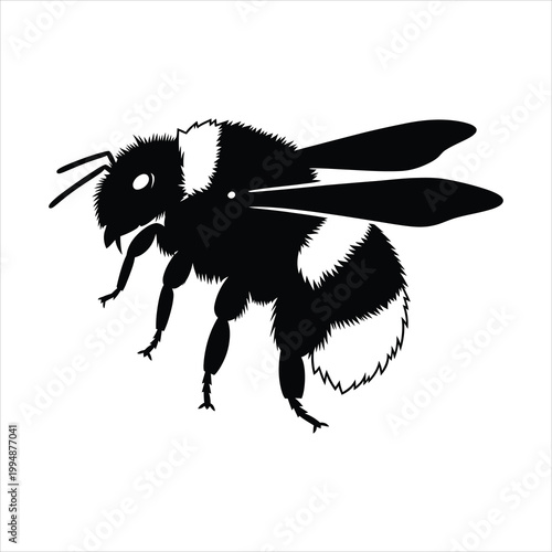 Photos Flying bumblebee black silhouette vector illustration side view isolated on whit