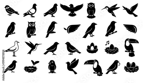 Bird silhouette collection flying perched wildlife icons vector isolated on white